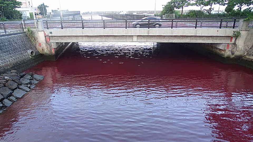 The red seawater is thought to have been caused by a coolant leak at the brewery. - 11th Regional Coast Guard Headquarters