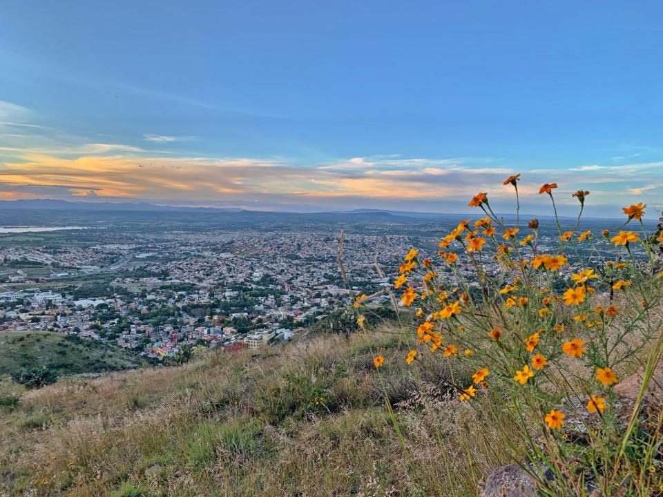 Hillside overlooking down below