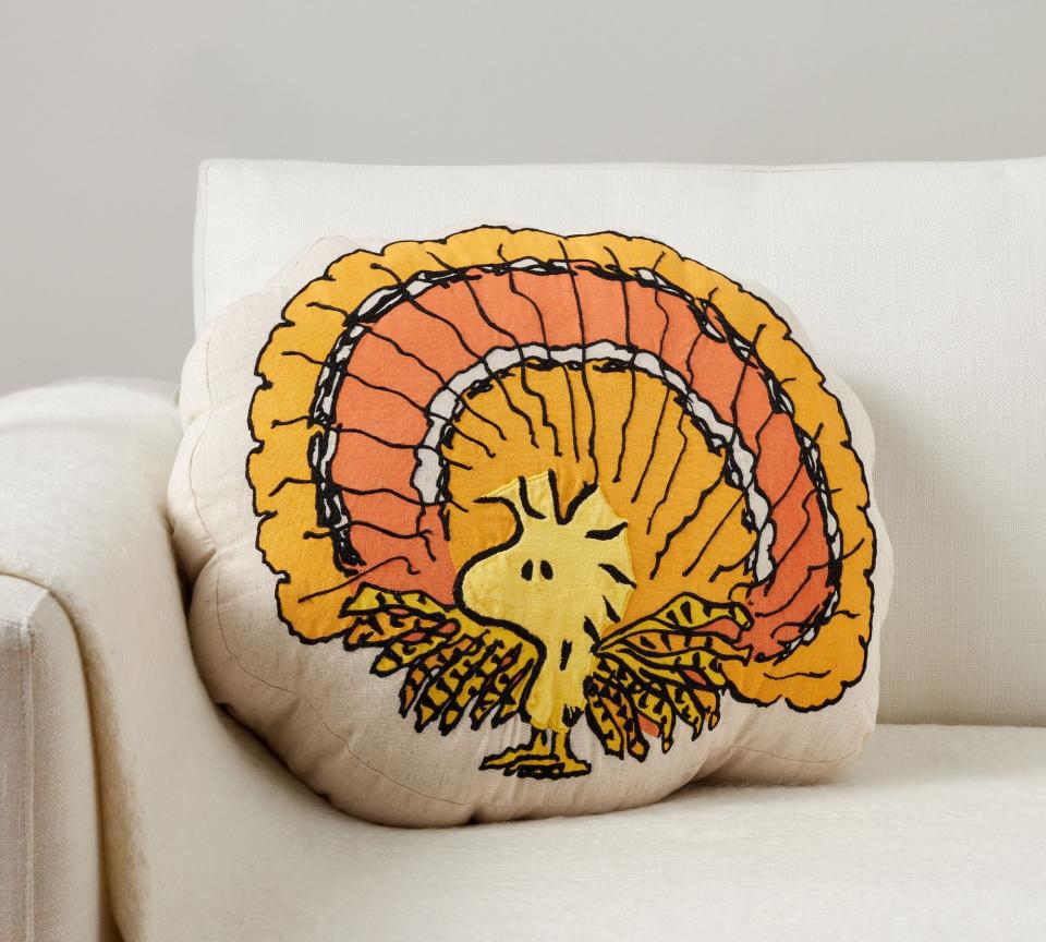 <p><a href="https://go.redirectingat.com?id=74968X1596630&url=https%3A%2F%2Fwww.potterybarn.com%2Fproducts%2Fpeanuts-woodstock-turkey-shaped-pillow%2F&sref=https%3A%2F%2Fwww.thepioneerwoman.com%2Fholidays-celebrations%2Fg44691924%2Fturkey-decorations%2F" rel="nofollow noopener" target="_blank" data-ylk="slk:Shop Now;elm:context_link;itc:0;sec:content-canvas" class="link ">Shop Now</a></p><p>Peanuts Woodstock Turkey Throw Pillow</p><p>$59.50</p><p>potterybarn.com</p><span class="copyright">Pottery Barn</span>