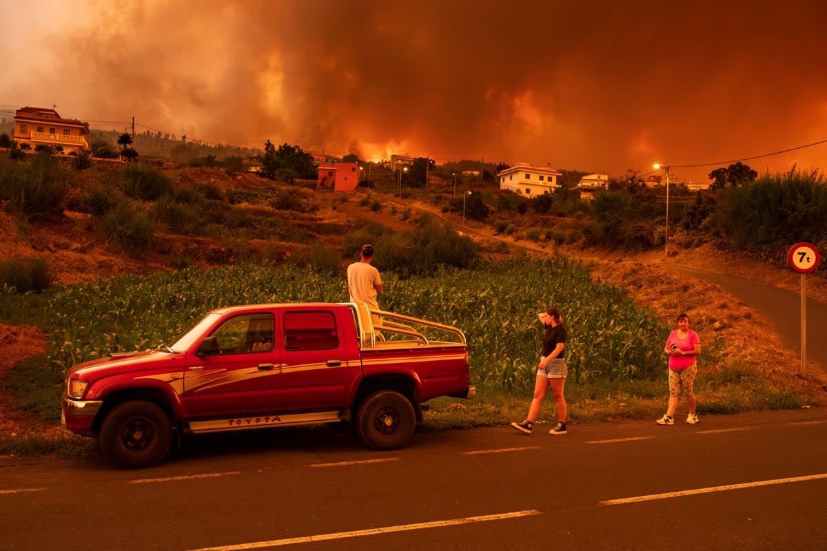 A raging wildfire that has torn through Tenerife was started deliberately, officials said (Copyright 2023 The Associated Press. All rights reserved.)