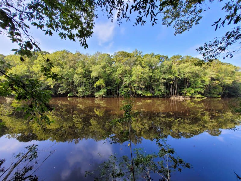 On November 10, 2003, U.S. Congress redesignated Congaree National Monument as Congaree National Park in South Carolina. File Photo by Direwolf73/Wikimedia