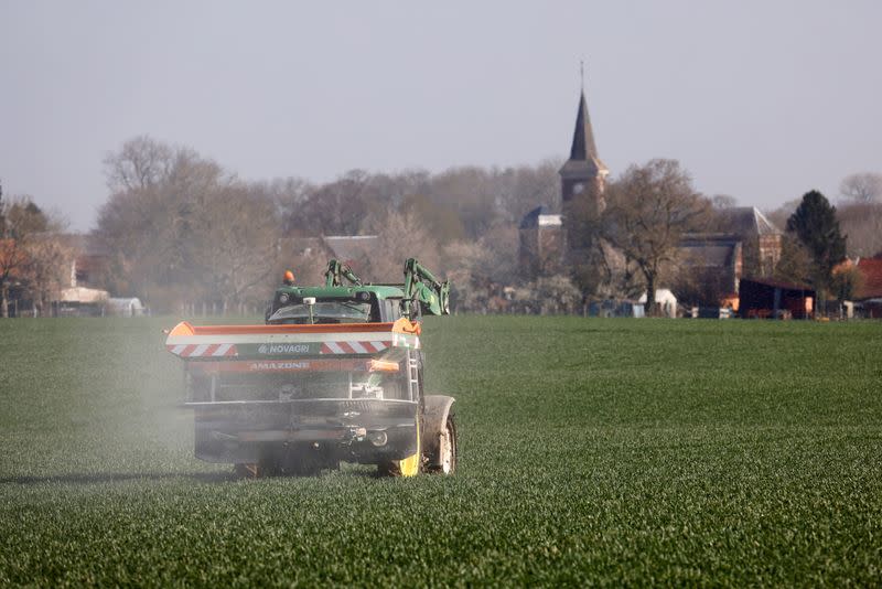 A farmer spreads nitrogen fertilizer in his wheat field in Blecourt