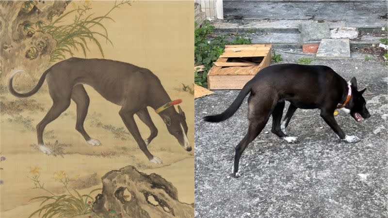 <p>The striking siimilarites between the woman’s pet and the imperial hound featured in the artwork garnered the attention of many online. (Photos courtesy of the National Palace Museum and PTT via NOWnews)</p>
