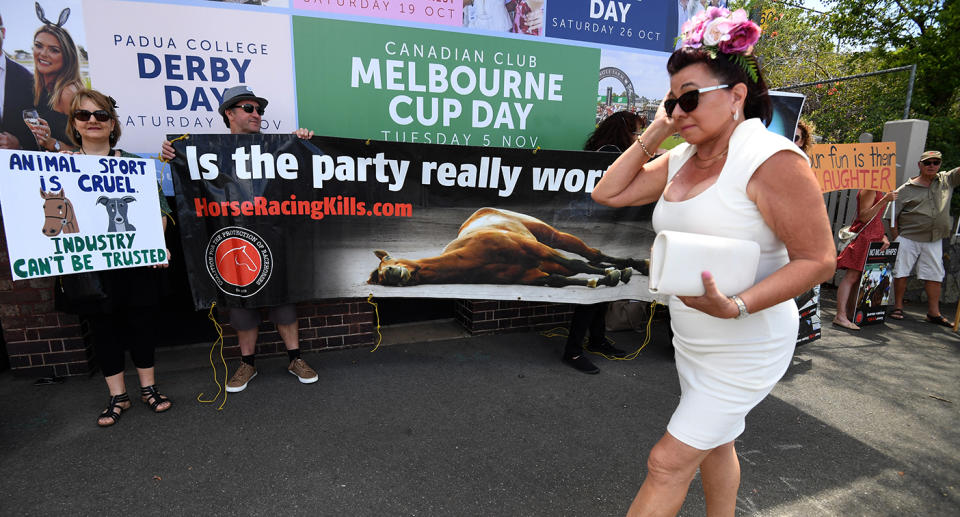 A woman wearing a fascinator rushes past protestors to attend the Melbourne cup