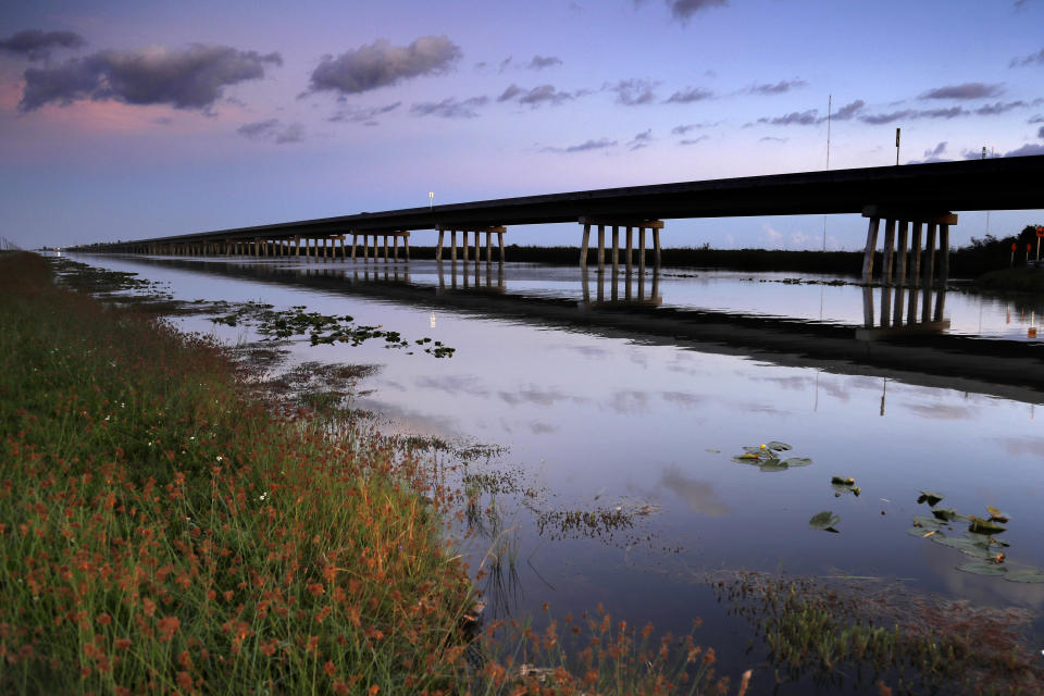 En esta imagen, tomada el 22 de octubre de 2019, se muestra una parte elevada del Camino de Tamiami, al oeste de Miami, Florida. El puente de 2,6 millas, además de otro tramo de una milla, ayudó a llevar más agua al Parque Nacional Everglades. Antes de 2013, el camino funcionaba como un dique, cortando el suministro natural de agua al parque. (AP Foto/Robert F. Bukaty)