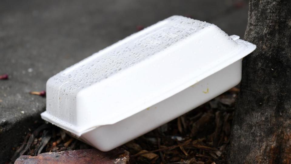 BRISBANE, AUSTRALIA - NewsWire Photos - MARCH 11, 2021. A discarded polystyrene foam food container is seen in Brisbane. Queensland moves to ban Polystyrene foam food containers and cups as well as single-use plastic straws, stirrers, cutlery and plates later this year. Picture: NCW NewsWire / Dan Peled