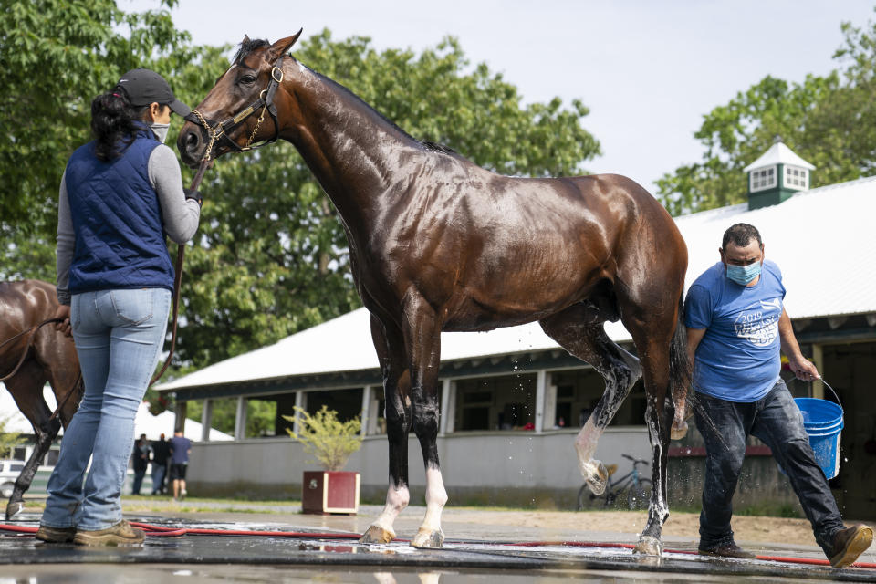 Belmont Stakes entrant Rombauer is washed after taking a training run ahead of the 153rd running of the Belmont Stakes horse race, Wednesday, June 2, 2021, at Belmont Park in Elmont, N.Y. (AP Photo/John Minchillo)