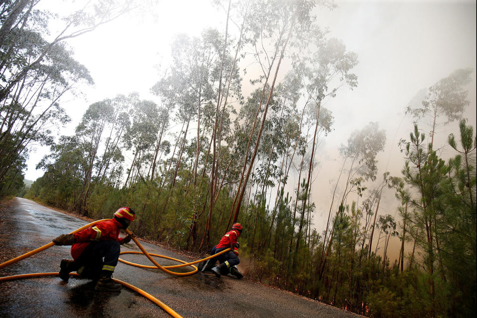 Portugal battles raging wildfires