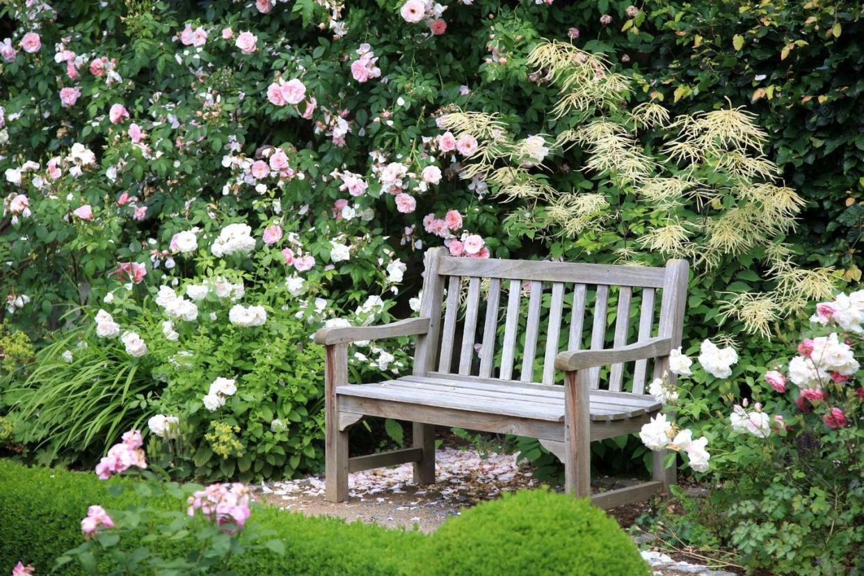 flower bed ideas bench