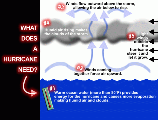 How a hurricane grows and strengthens (weather.gov)