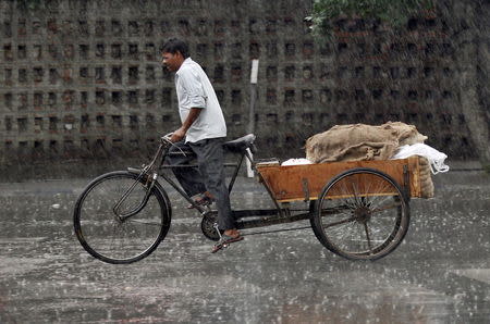 A vendor transports vegetables on a cycle rickshaw during a rain shower in Chandigarh, June 2, 2015. REUTERS/Ajay Verma