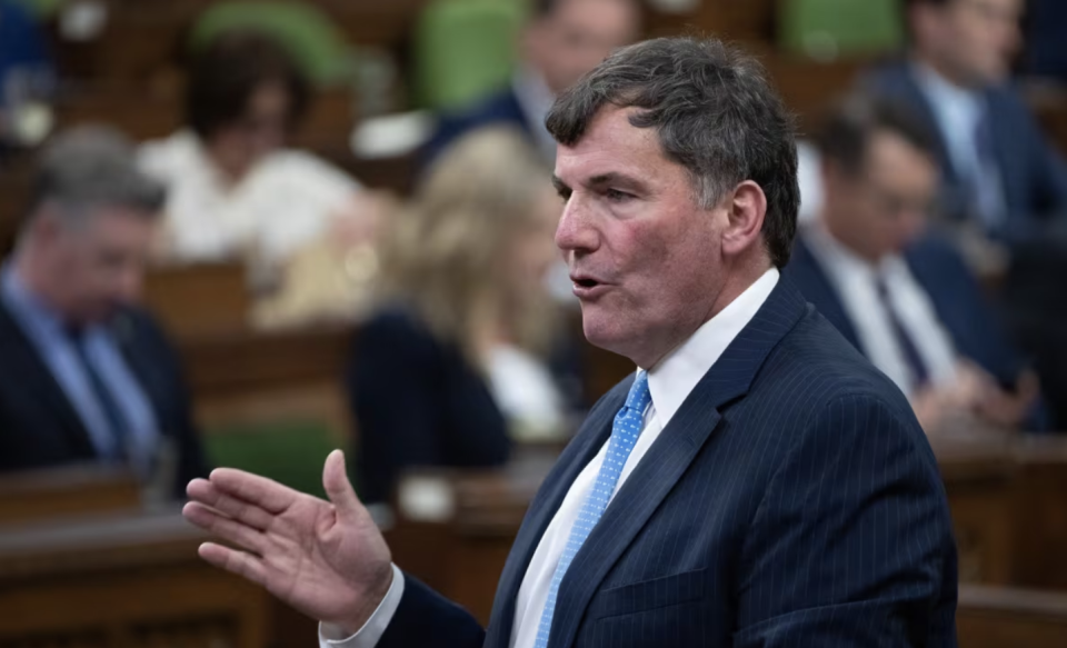 Minister of Public Safety, Democratic Institutions and Intergovernmental Affairs Dominic LeBlanc rises during question period on Monday, June 17, 2024 in Ottawa. (Adrian Wyld/The Canadian Press)