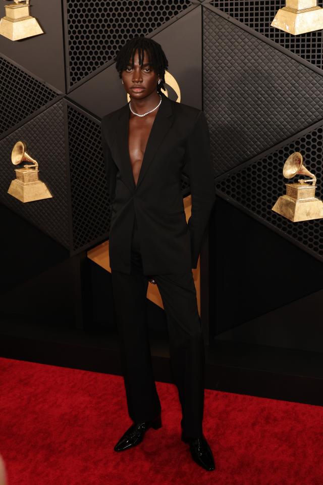 Grammys 2024 Red Carpet: See All the Celebrity Dresses, Outfits and Looks