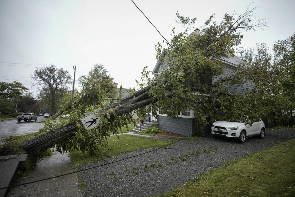 <p>A tree sits against power lines and a home after post-tropical storm Fiona hit on Sept. 24, 2022 in Sydney, N.S. Formerly Hurricane Fiona, the storm is one of the strongest Atlantic Canada has seen in years. (Photo by Drew Angerer/Getty Images)</p> 
