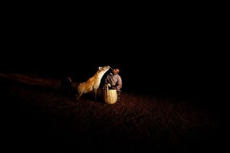 Abbas Yusuf, 23, known as Hyena Man, feeds a hyena on the outskirts of the walled city of Harar, Ethiopia, February 24, 2017. REUTERS/Tiksa Negeri