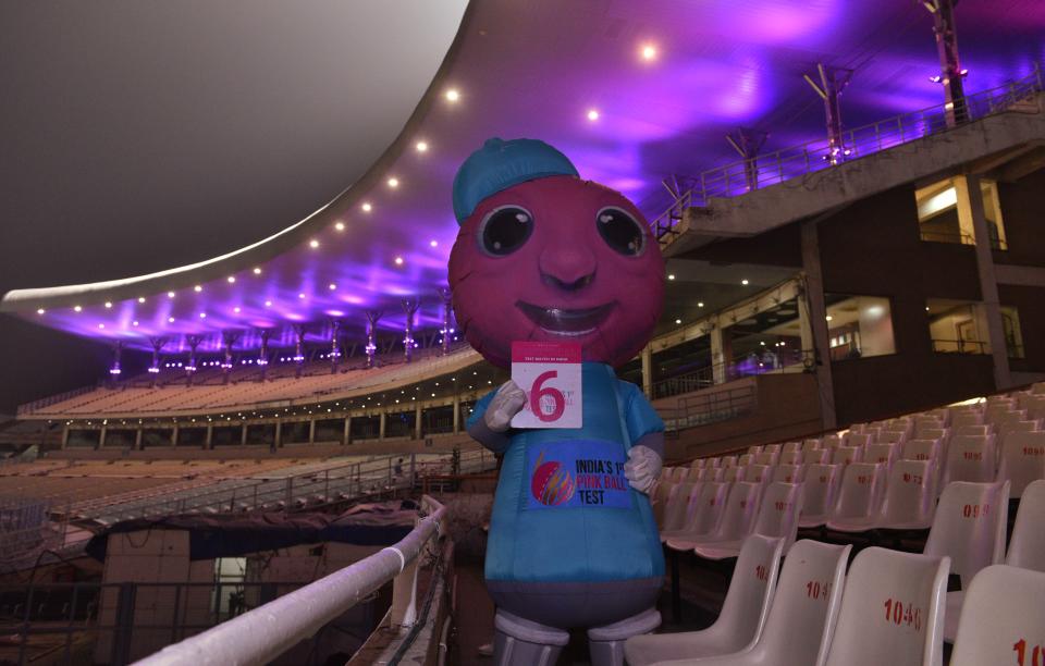 KOLKATA, INDIA - NOVEMBER 19: Pinku, the mascot of the India's first day-night test match with pink ball, which will start from 22nd November between India vs Bangladesh, at Eden Garden on November 19,2019 in Kolkata, India. (Photo by Samir Jana/Hindustan Times via Getty Images)