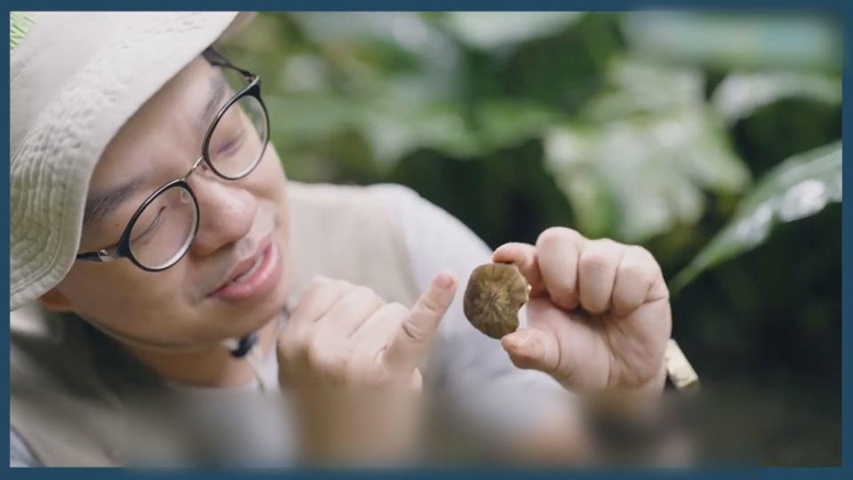 昆蟲、動物專家「蝌蚪老師」呂軍逸，被指控虐待動物。（翻攝自呂軍逸（蝌蚪老師）昆蟲＆生態講師臉書）