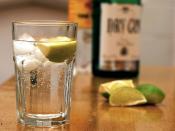 <p>Although not strictly adding years onto your life, gin can help you live to your full potential. It increases blood circulation and can aid with cardiovascular health by preventing clogged arteries.<br><i>[Photo: Getty]</i> </p>