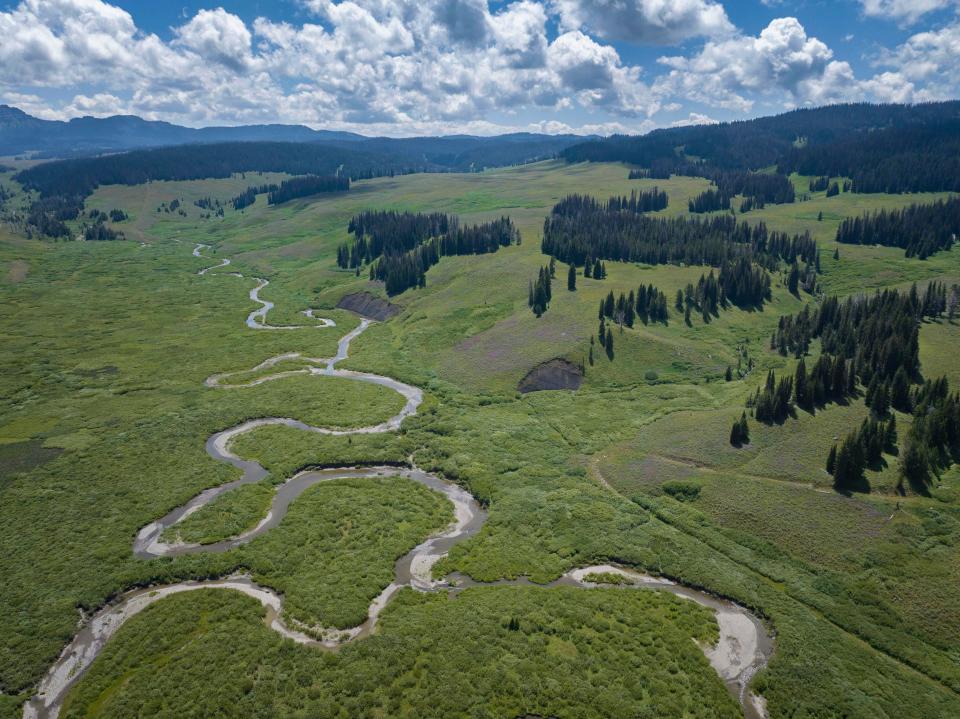 jackson landscape from aerial view