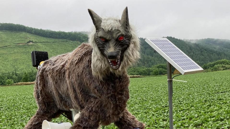 PHOTO: A Monster Wolf, a scarecrow-like deterrent for wildlife, is seen in an undated image in Japan supplied by Ohta Seiki. (Ohta Seiki)