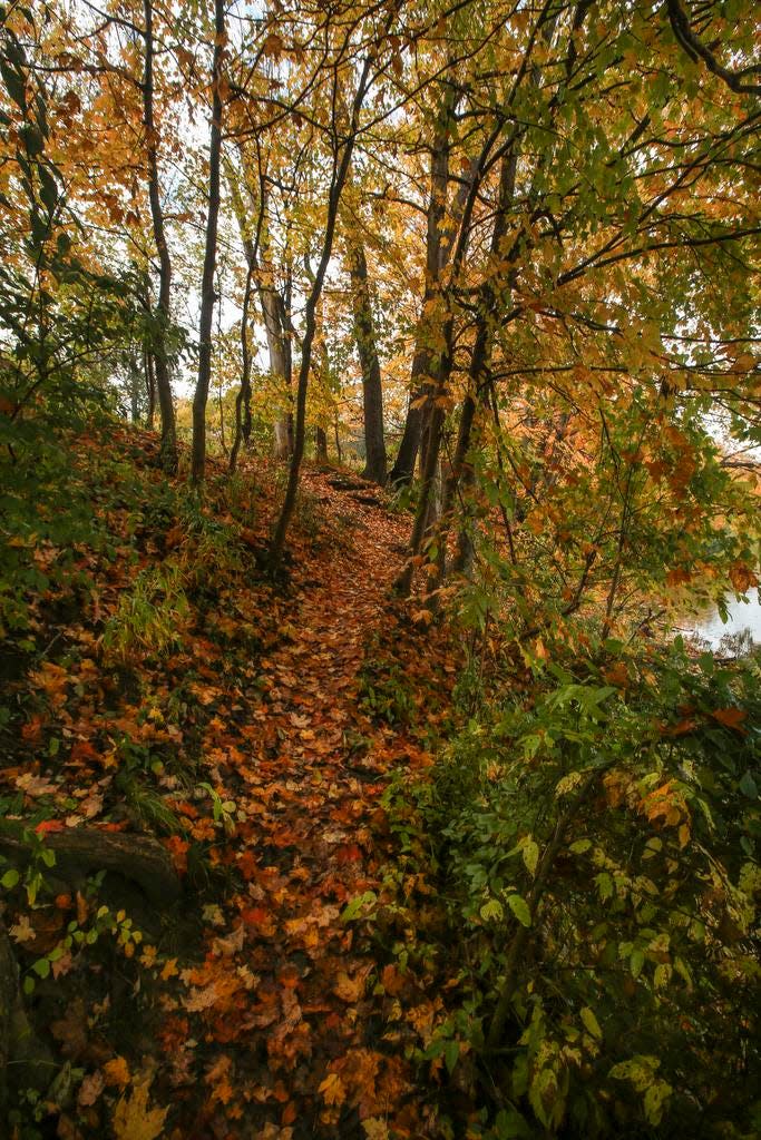 Fall colors around Cherokee Park Lake on Tuesday morning. Oct. 21, 2014