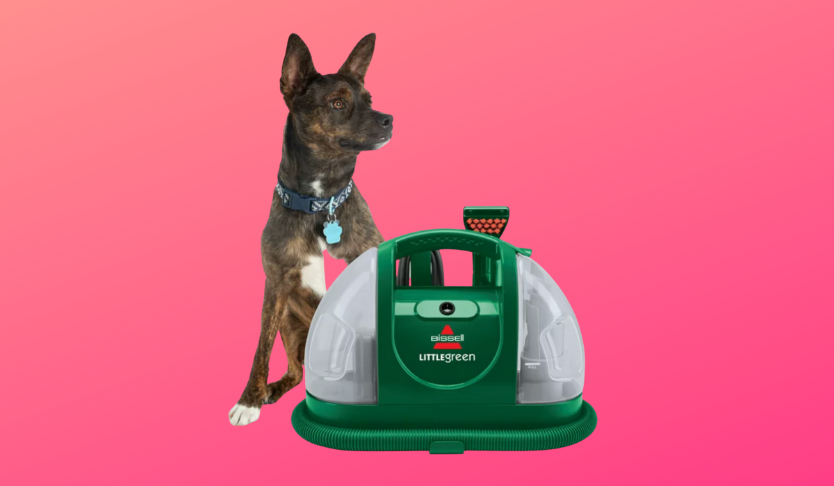 A very cute dog next to a small green steamer-vacuum labeled 