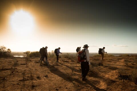 Sunrise ambling - Credit: phoebe smith