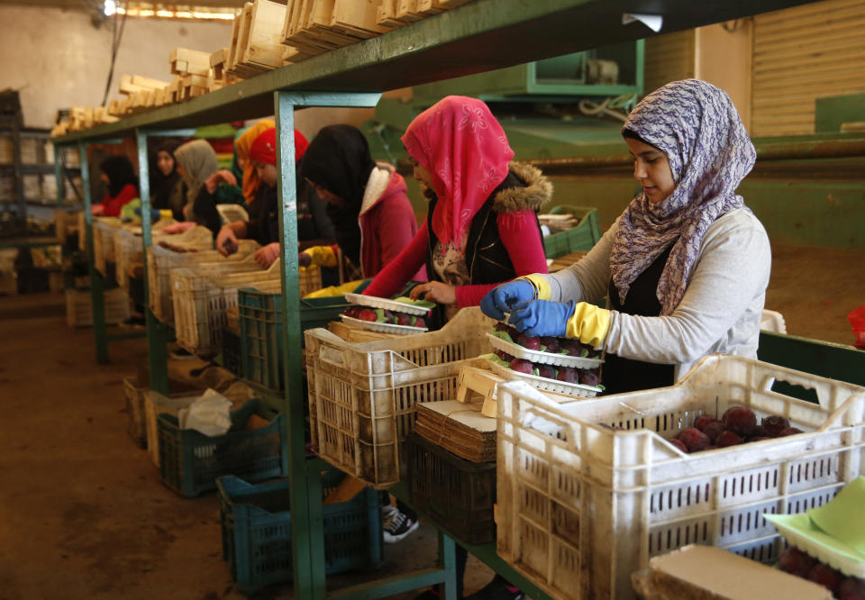 In this Oct. 31 2018 photo, workers pack Lebanese fruits for export from Lebanon to the Gulf and other Arab countries, at a warehouse in Bar Elias town, Bekaa Valley, Lebanon. The long-awaited reopening of a vital border crossing between Syria and Jordan earlier this month was supposed to bring relief to Lebanese farmers and traders looking to resume exports to Gulf countries. But the commerce has so far been complicated by politics, high transit fees and fighting over which trucks pass through which country. (AP Photo/Hussein Malla)