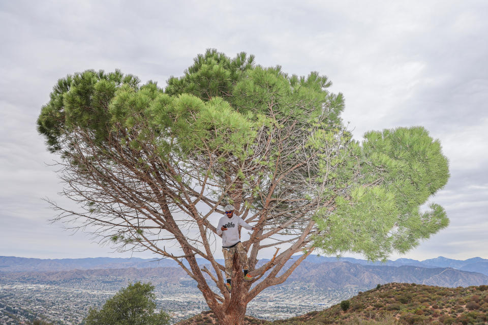 Salehe Bembury en una excursión en Los Ángeles el 1.° de febrero de 2021. (Chase Hall/The New York Times)