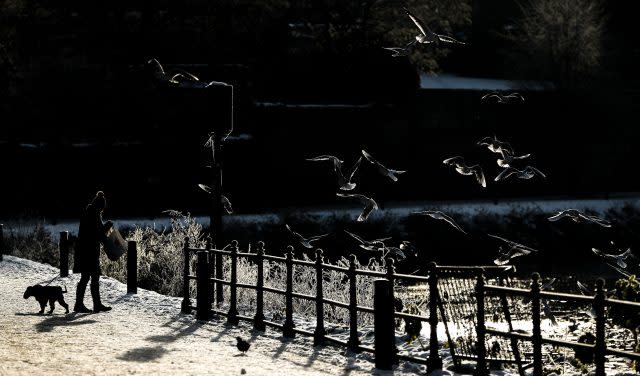 Gulls on the Severn in Worcester were keen for food (David Davies/PA)