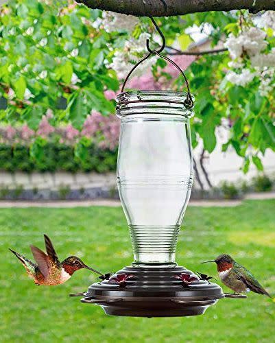 6) Vintage Bottle Glass Hummingbird Feeder