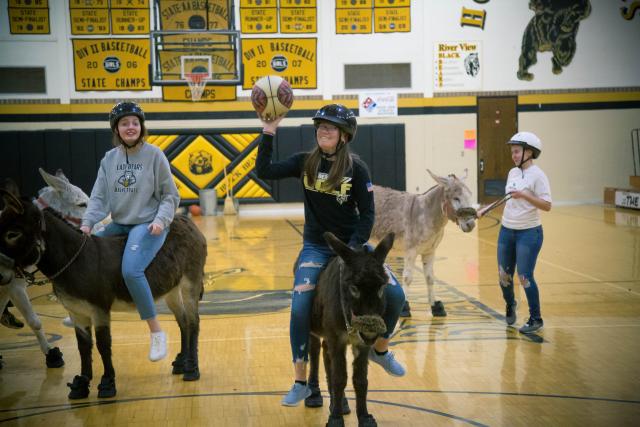 Donkey basketball returns to help Seton, News