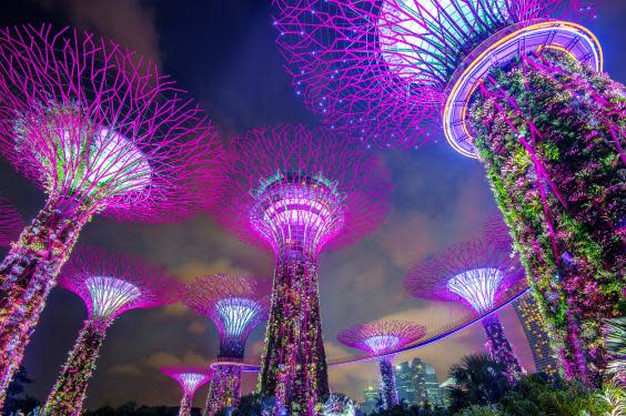 Head to Gardens by the Bay and see the majestic ‘supertrees’ (Getty)