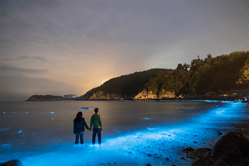 圖片由藍眼淚旅行社提供