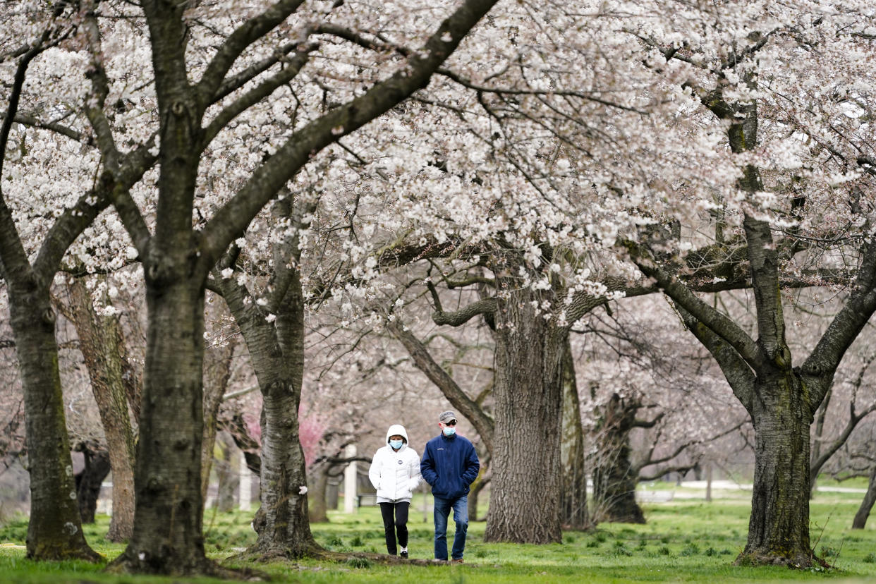 FILE - In this April 2, 2021, file photo, Janet Nemec, left, celebrates receiving her second vaccination dose with her husband Dale with a walk beneath blossoming trees along Kelly Drive in Philadelphia. Nearly half of new coronavirus infections nationwide are in just five states, including Pennsylvania — a situation that puts pressure on the federal government to consider changing how it distributes vaccines by sending more doses to hot spots. (AP Photo/Matt Rourke, File)