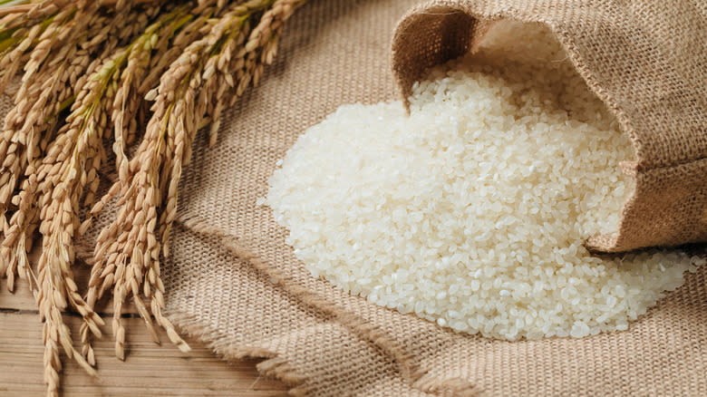 Rice grain and rice in bag