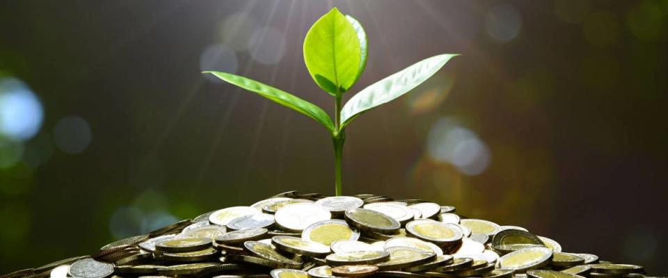 A pile of coins with plant on top to symbolize savings growth.