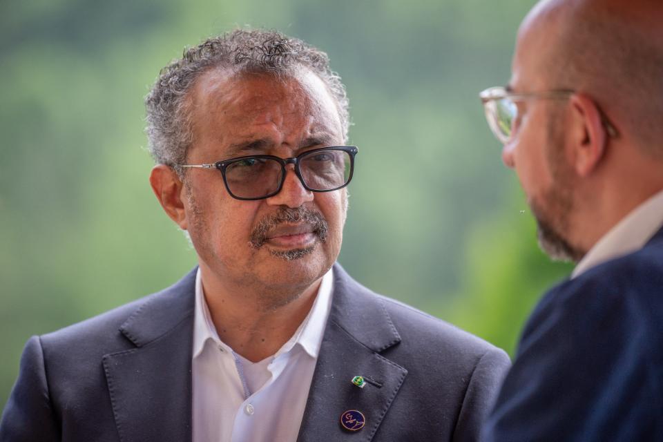 European Council President Charles Michel and the Director-General of the World Health Organization (WHO) Tedros Adhanom Ghebreyesus talk prior a bilateral meeting at the G7 summit at Elmau Castle, southern Germany, on June 27, 2022. - The Group of Seven leading economic powers are meeting in Germany for their annual gathering from June 26 to 28, 2022. (Photo by Michael Kappeler / POOL / AFP) (Photo by MICHAEL KAPPELER/POOL/AFP via Getty Images)