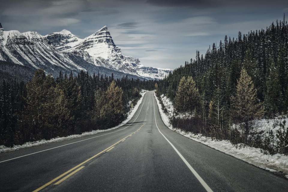 Empty road leading toward snow-covered mountains with pine trees on both sides