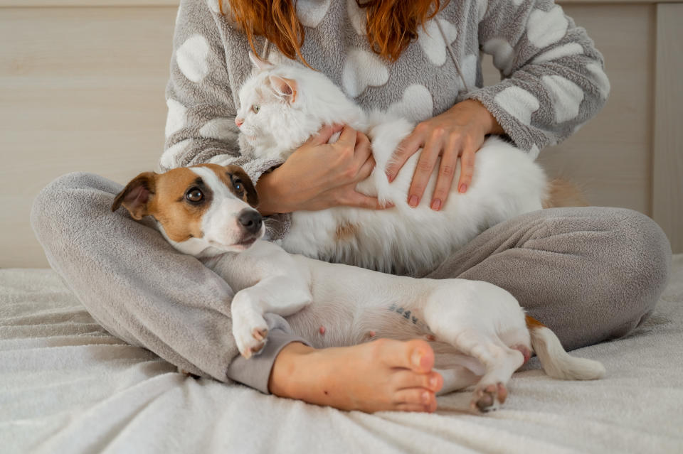 Mit Hund oder Katze zu kuscheln ist in vielerlei Hinsicht gut für die Gesundheit - birgt aber auch Risiken, dass sich bestimmte Krankheiten übertragen. (Symbolbild: Getty Images)