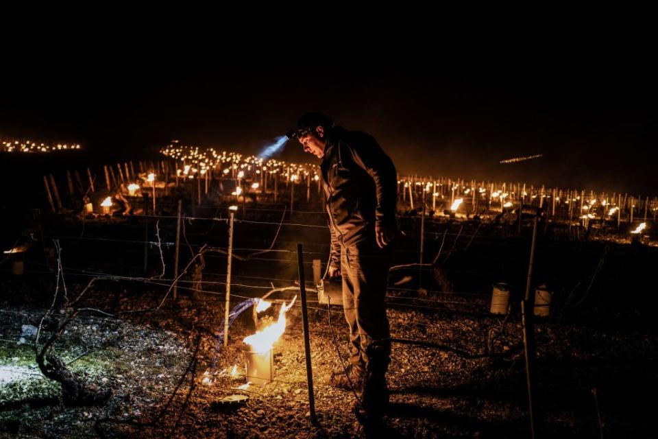 A winegrowers from the Daniel-Etienne Defaix wine estate lights anti-frost candles in their vineyard near Chablis, Burgundy, on April 7. Source: Getty