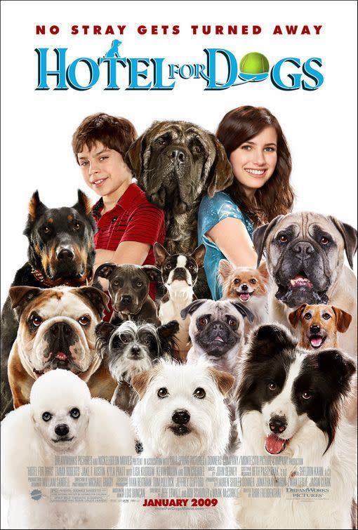 20) Hotel For Dogs