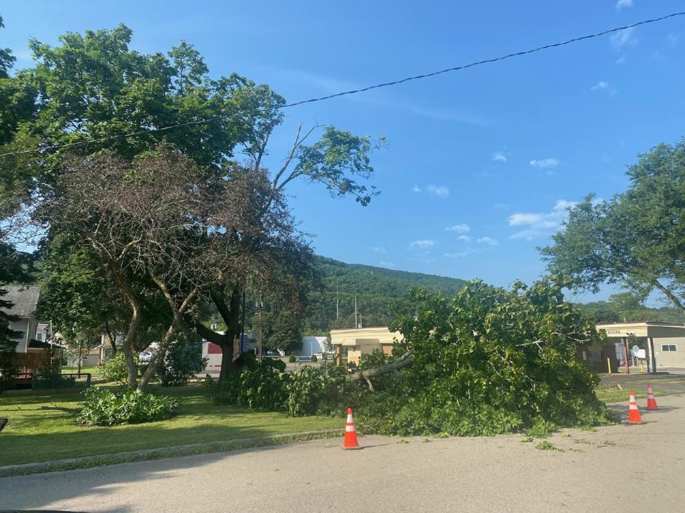 This tree on Cayuta Street snapped in half during a storm Monday evening, July 15, 2024. About 24,000 NYSEG customers in Steuben, Schuyler and Chemung counties were still without electricity Tuesday morning.