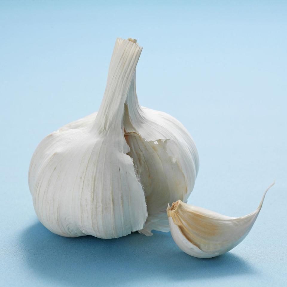 Garlic