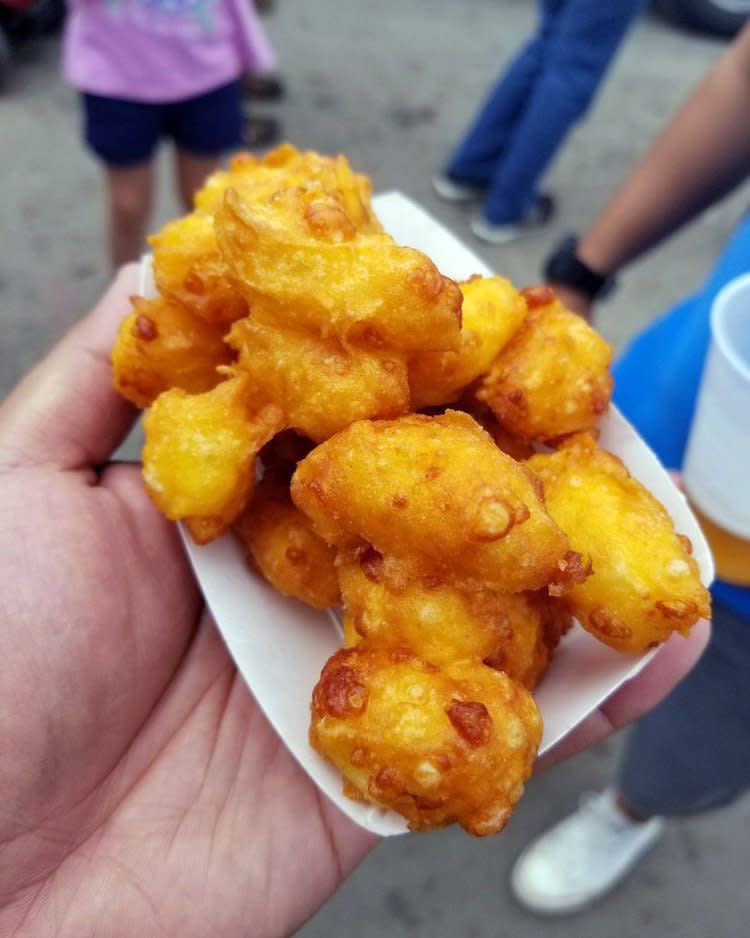 Cheese Curds in Wisconsin State Fair, Wisconsin