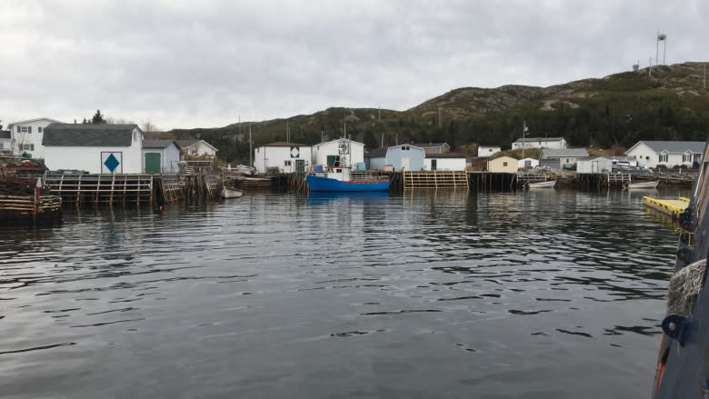 Show me the money: South coast woman questions search for cheaper ferries