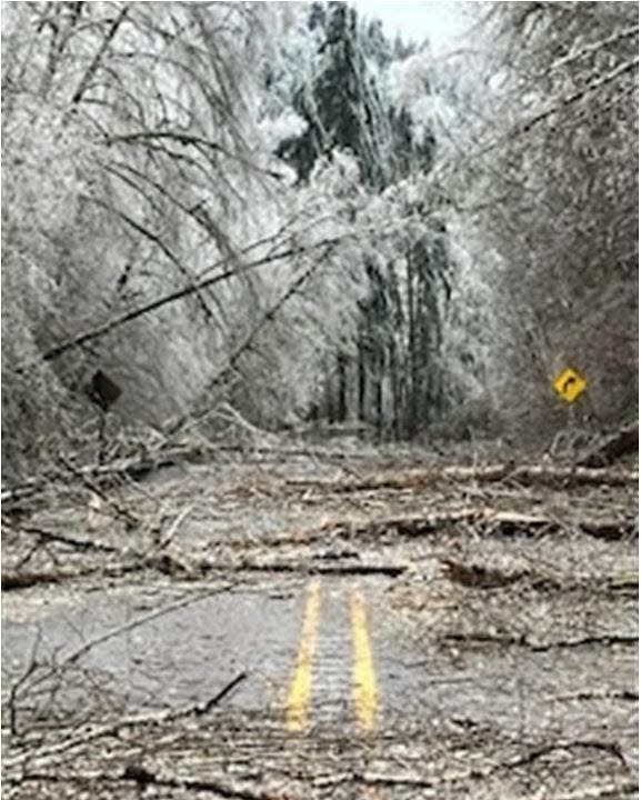 The Oregon Department of Transportation said crews were working to clear hundreds of trees and power lines that fell during a winter storm on U.S. Highway 126 east of Eugene.