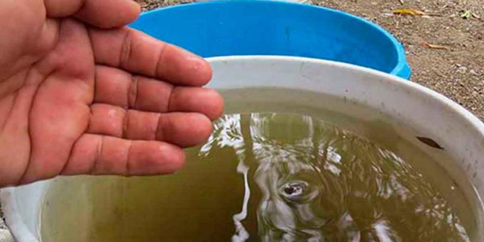 Poblanos reportan que agua les llega con heces fecales