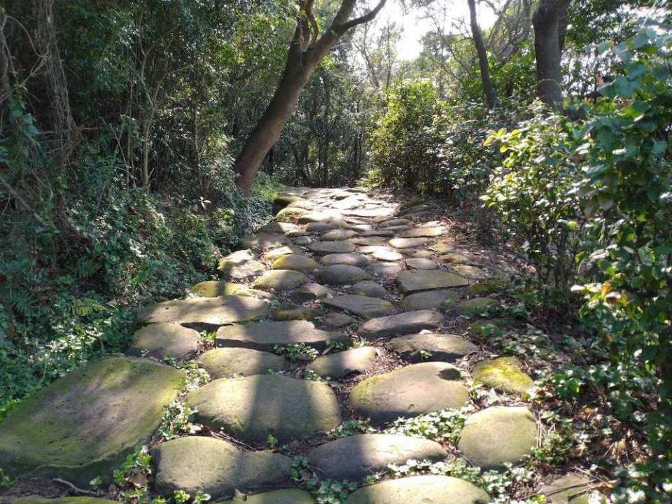 金獅寺步道（圖片來源：新竹林管處）