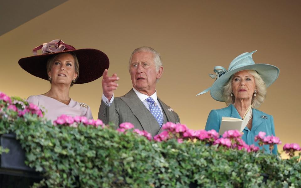 The Countess of Wessex, the Prince of Wales and the Duchess of Cornwall watch the racing from the Royal box - PA